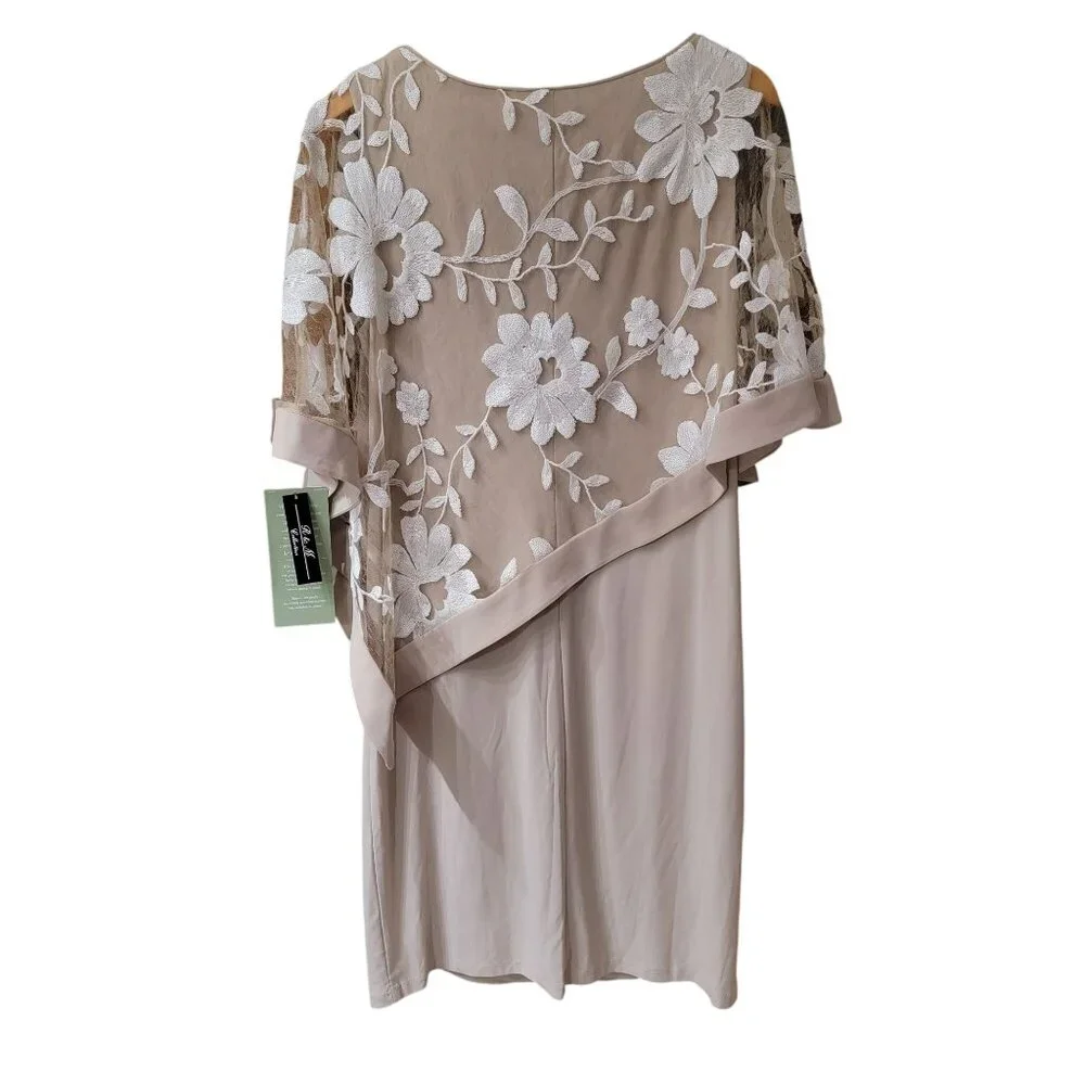 R & M Collection Women’s Champagne Floral Embroidered Dress NWT Size 14 - Picture 3 of 7